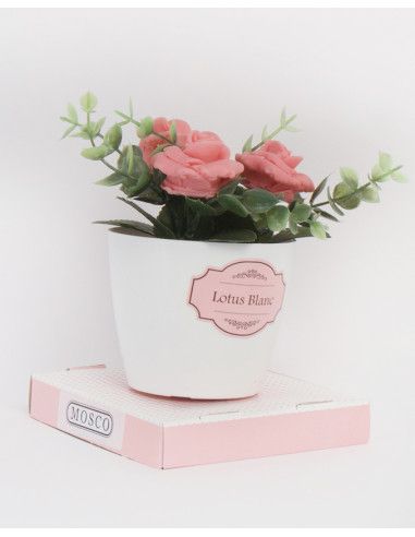 Fleurs de Maison Lotus Blanc – Mosco Paris